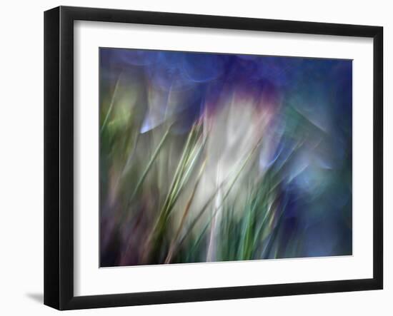 Needles-Ursula Abresch-Framed Photographic Print