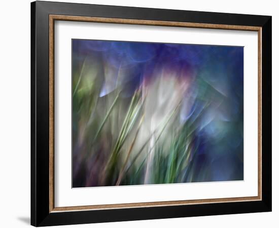 Needles-Ursula Abresch-Framed Photographic Print