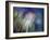 Needles-Ursula Abresch-Framed Photographic Print