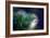 Needles-Ursula Abresch-Framed Photographic Print