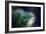 Needles-Ursula Abresch-Framed Photographic Print