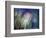 Needles-Ursula Abresch-Framed Photographic Print