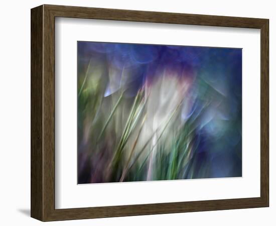 Needles-Ursula Abresch-Framed Photographic Print