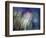 Needles-Ursula Abresch-Framed Photographic Print