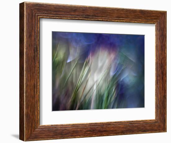 Needles-Ursula Abresch-Framed Photographic Print