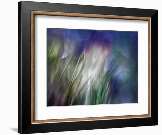 Needles-Ursula Abresch-Framed Photographic Print