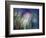 Needles-Ursula Abresch-Framed Photographic Print