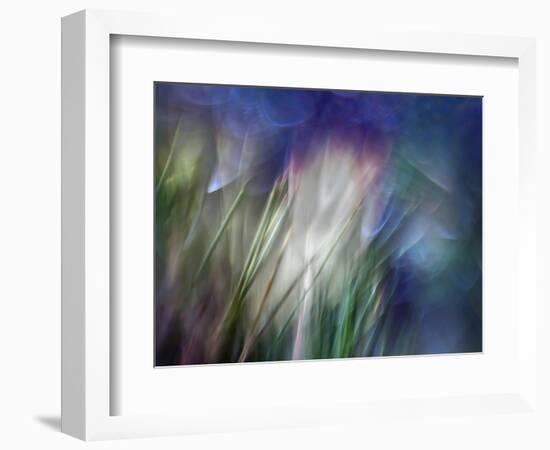 Needles-Ursula Abresch-Framed Photographic Print