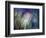 Needles-Ursula Abresch-Framed Photographic Print