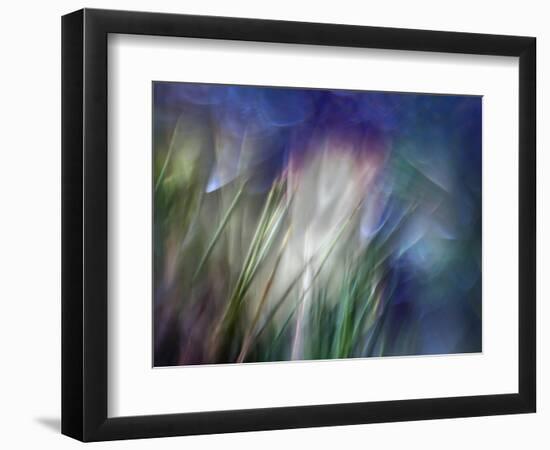 Needles-Ursula Abresch-Framed Premium Photographic Print