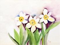 Three Daffodils-Neela Pushparaj-Giclee Print