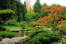 Assorted Colors of the Japanese Garden-neelsky-Framed Photographic Print