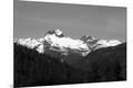 Premium Photographic Print