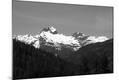 Photographic Print