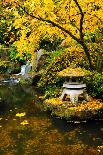 Garden Structure in Fall-neelsky-Framed Photographic Print