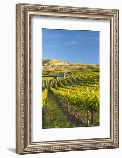 Nefarious Cellars in the Lake Chelan AVA, Washington, USA-Richard Duval-Framed Photographic Print