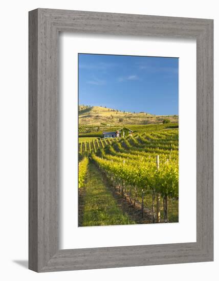 Nefarious Cellars in the Lake Chelan AVA, Washington, USA-Richard Duval-Framed Photographic Print