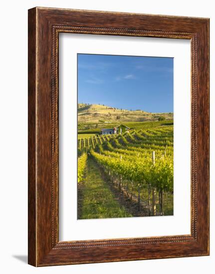 Nefarious Cellars in the Lake Chelan AVA, Washington, USA-Richard Duval-Framed Photographic Print