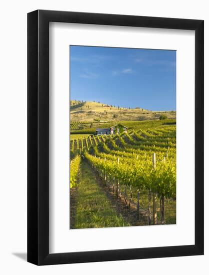 Nefarious Cellars in the Lake Chelan AVA, Washington, USA-Richard Duval-Framed Photographic Print