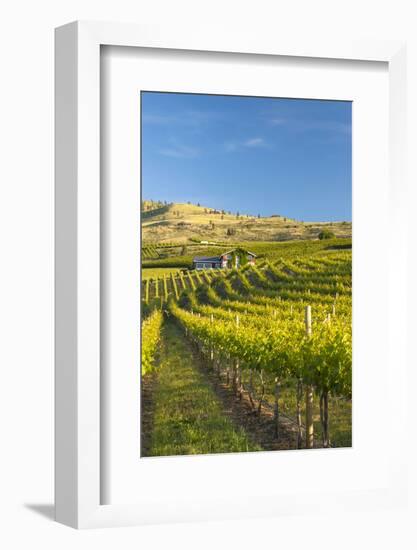 Nefarious Cellars in the Lake Chelan AVA, Washington, USA-Richard Duval-Framed Photographic Print