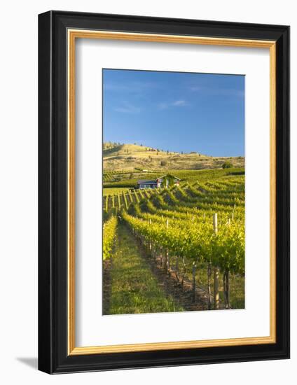 Nefarious Cellars in the Lake Chelan AVA, Washington, USA-Richard Duval-Framed Photographic Print