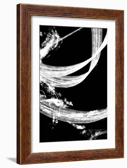 negatives_006_tapestry-1x Studio II-Framed Giclee Print