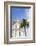 Negresco Hotel, Nice, Alpes Maritimes, Cote d'Azur, Provence, France, Europe-Fraser Hall-Framed Photographic Print