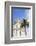 Negresco Hotel, Nice, Alpes Maritimes, Cote d'Azur, Provence, France, Europe-Fraser Hall-Framed Photographic Print