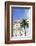 Negresco Hotel, Nice, Alpes Maritimes, Cote d'Azur, Provence, France, Europe-Fraser Hall-Framed Photographic Print