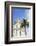 Negresco Hotel, Nice, Alpes Maritimes, Cote d'Azur, Provence, France, Europe-Fraser Hall-Framed Photographic Print