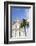 Negresco Hotel, Nice, Alpes Maritimes, Cote d'Azur, Provence, France, Europe-Fraser Hall-Framed Photographic Print