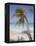 Negril, Jamaica, West Indies, Caribbean, Central America-Angelo Cavalli-Framed Premier Image Canvas