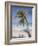 Negril, Jamaica, West Indies, Caribbean, Central America-Angelo Cavalli-Framed Photographic Print