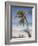 Negril, Jamaica, West Indies, Caribbean, Central America-Angelo Cavalli-Framed Photographic Print