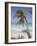 Negril, Jamaica, West Indies, Caribbean, Central America-Angelo Cavalli-Framed Photographic Print