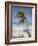 Negril, Jamaica, West Indies, Caribbean, Central America-Angelo Cavalli-Framed Photographic Print