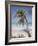 Negril, Jamaica, West Indies, Caribbean, Central America-Angelo Cavalli-Framed Photographic Print