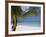 Negril, Jamaica, West Indies, Caribbean, Central America-Angelo Cavalli-Framed Photographic Print