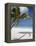 Negril, Jamaica, West Indies, Caribbean, Central America-Angelo Cavalli-Framed Premier Image Canvas