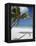 Negril, Jamaica, West Indies, Caribbean, Central America-Angelo Cavalli-Framed Premier Image Canvas