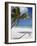 Negril, Jamaica, West Indies, Caribbean, Central America-Angelo Cavalli-Framed Photographic Print