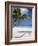 Negril, Jamaica, West Indies, Caribbean, Central America-Angelo Cavalli-Framed Photographic Print