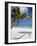 Negril, Jamaica, West Indies, Caribbean, Central America-Angelo Cavalli-Framed Photographic Print