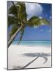 Negril, Jamaica, West Indies, Caribbean, Central America-Angelo Cavalli-Mounted Photographic Print