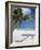 Negril, Jamaica, West Indies, Caribbean, Central America-Angelo Cavalli-Framed Photographic Print