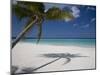 Negril, Jamaica, West Indies, Caribbean, Central America-Angelo Cavalli-Mounted Photographic Print