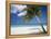 Negril, Jamaica, West Indies, Caribbean, Central America-Angelo Cavalli-Framed Premier Image Canvas