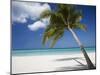 Negril, Jamaica, West Indies, Caribbean, Central America-Angelo Cavalli-Mounted Photographic Print