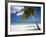 Negril, Jamaica, West Indies, Caribbean, Central America-Angelo Cavalli-Framed Photographic Print