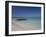 Negril, Jamaica, West Indies, Caribbean, Central America-Angelo Cavalli-Framed Photographic Print